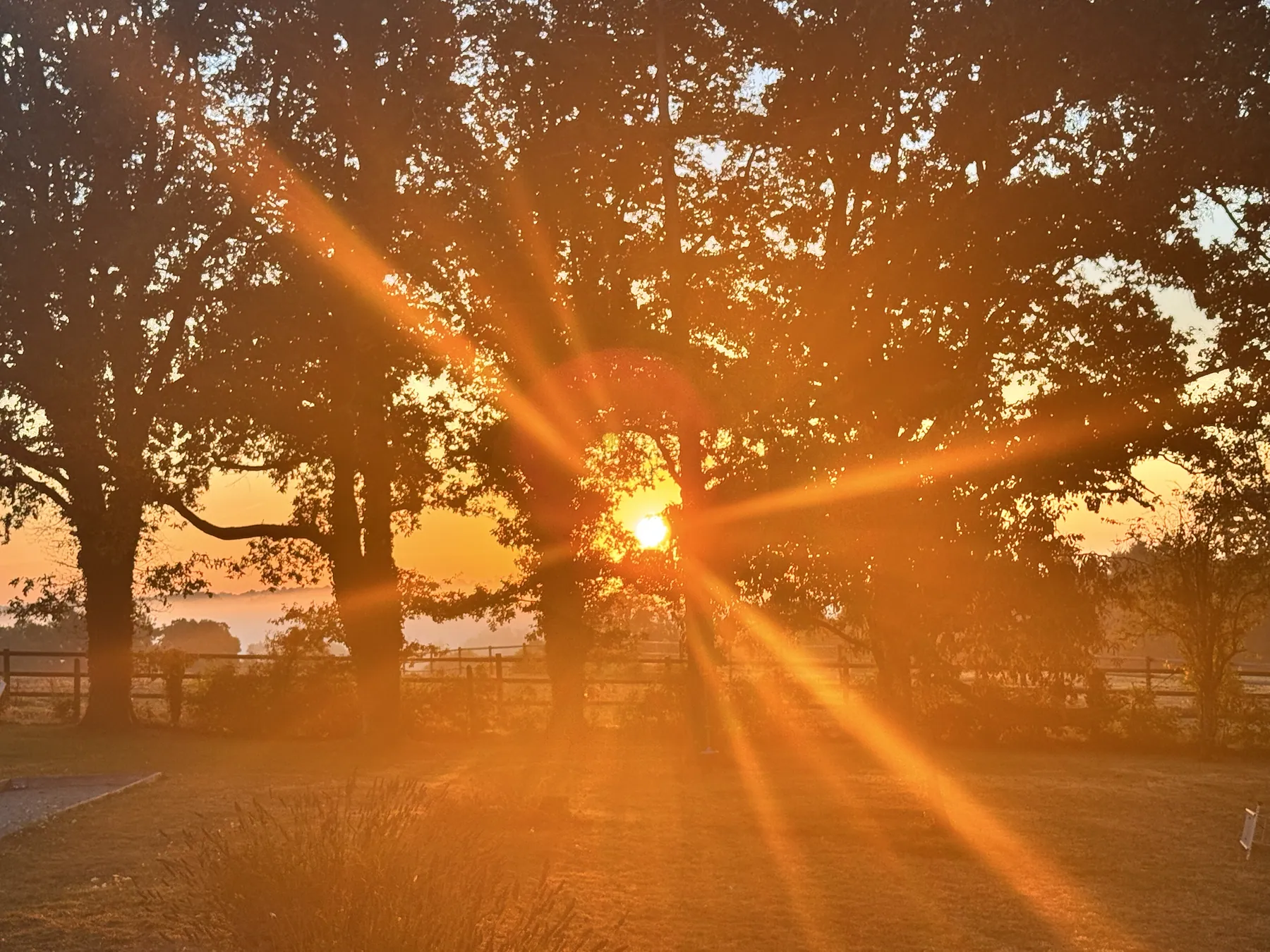 Sonnenuntergang im Garten